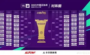 西南亚球队客场失利，小组出线前景凌乱的简单介绍